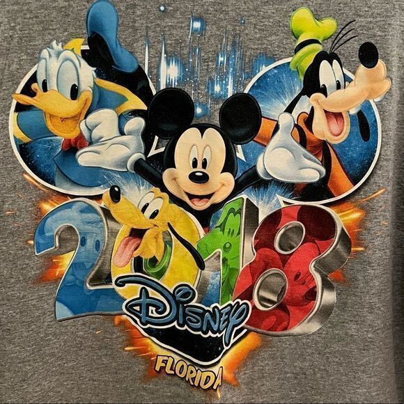 Disney 2018 Florida Amusement Park‎ Tshirt Size Large - Picture 3 of 4